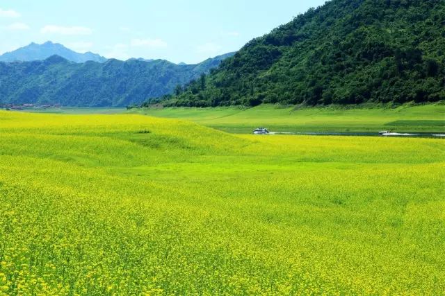 嘉泽新能引领绿色之旅，探寻自然美景，心灵之旅启程，最新投资动态揭晓！