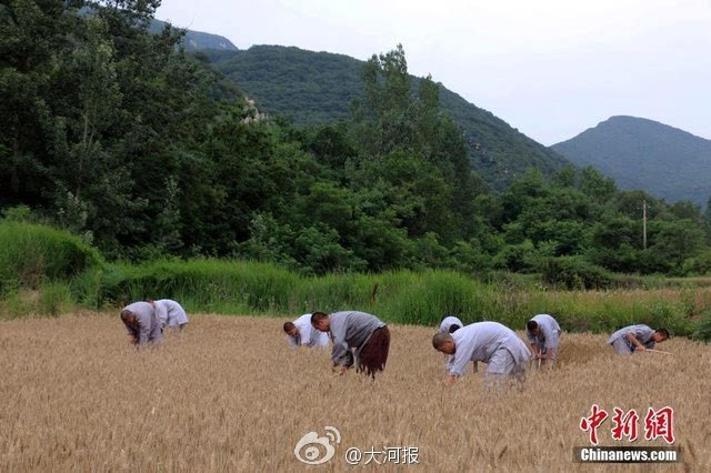 种麦启程，探寻变化之力与人生丰收季的收获之道