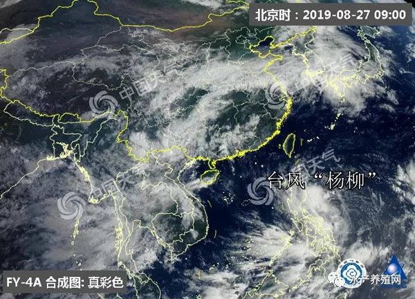 最新台风动态及影响深度分析，30日台风消息综述与反思