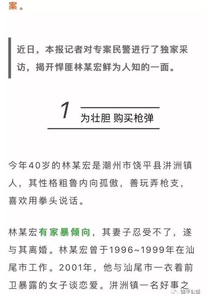 饶平枪击案最新进展解析，案件全貌揭秘与应对方式探讨（最新情况更新）