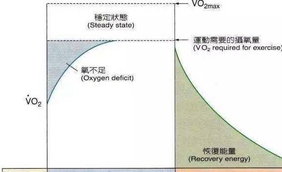 最新生理周期解析，洞悉健康奥秘，掌握生理日历的规律