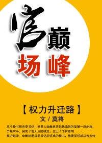 跃升巅峰之路，权谋升迁有道启示录与全文目录解析