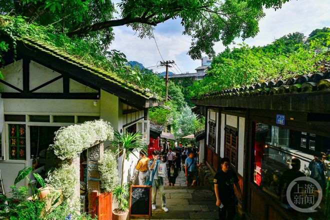 合肥小巷深处的幼教新星，隐藏版幼儿园探秘与新增园所揭秘