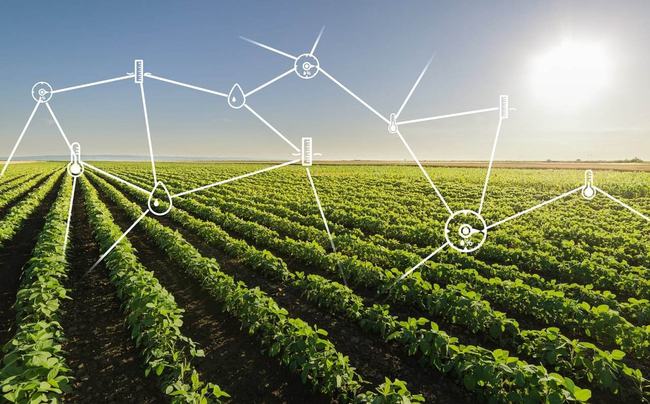 11月3日智慧农业最新技术深度探讨及其影响研究综述