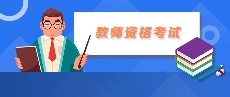 11月3日中小学教师取消编制最新消息真相解析与观点阐述