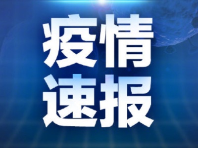 最新疫情通报，聚焦国内重点地区动态更新（11月3日版）