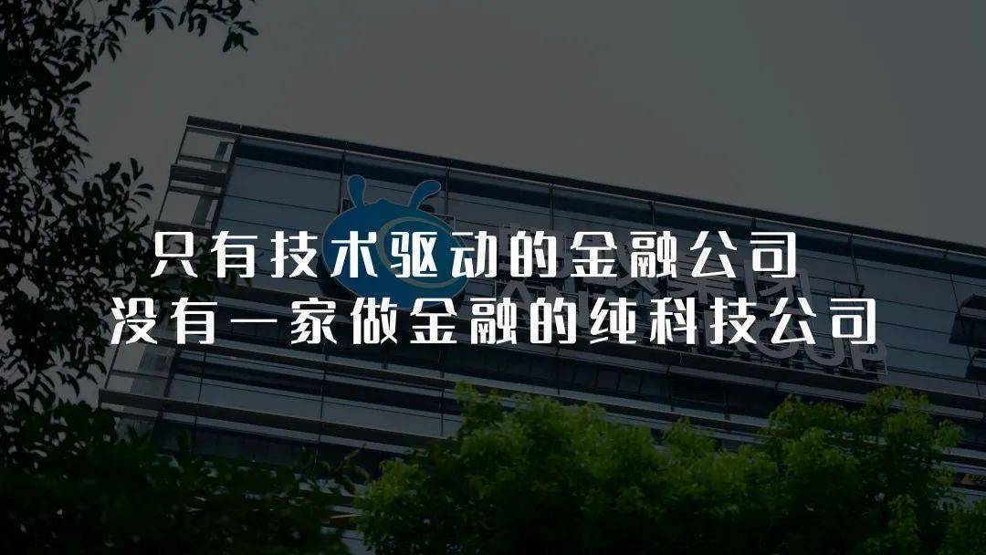 农行汪勤最新动态揭秘，金融领域新动向深度解读（独家视频报道）