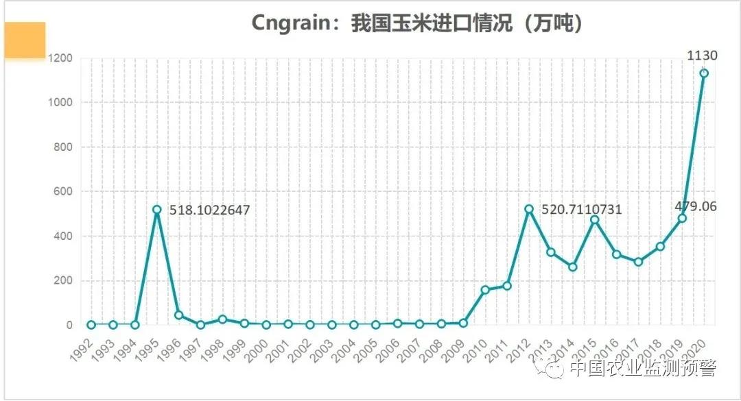 11月4日中国进口玉米新动向，多元视角下的数据分析