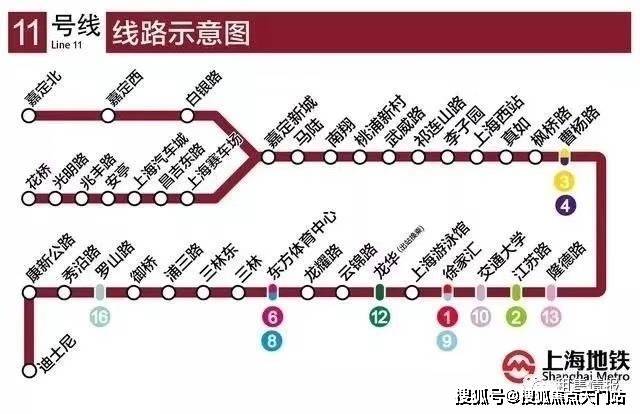 11月4日我要这样生活最新，全面评测与介绍