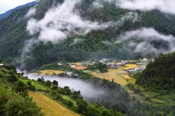 抗州杀妻案背后，探寻自然美景的心灵之旅与宁静时刻