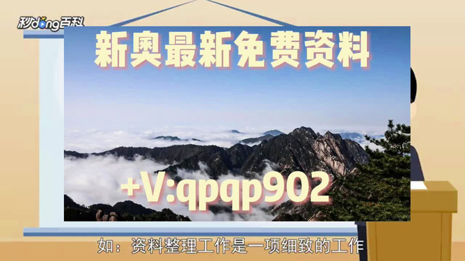 澳门资料大全正版资料2024年免费,实践解答解释落实_专属款66.632