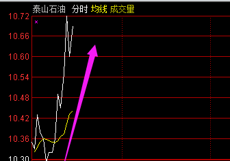 626969正版特马凤凰网,实时解答解释落实_领航款56.574