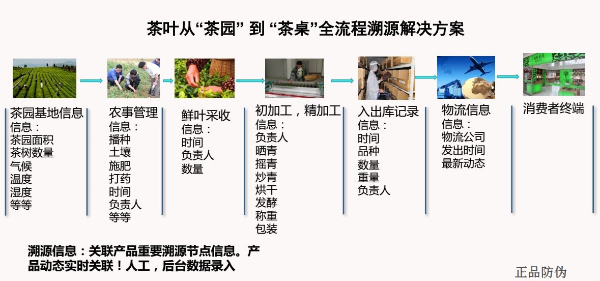 精准一码免费公开澳门,瞬时解答解释落实_SHD52.638