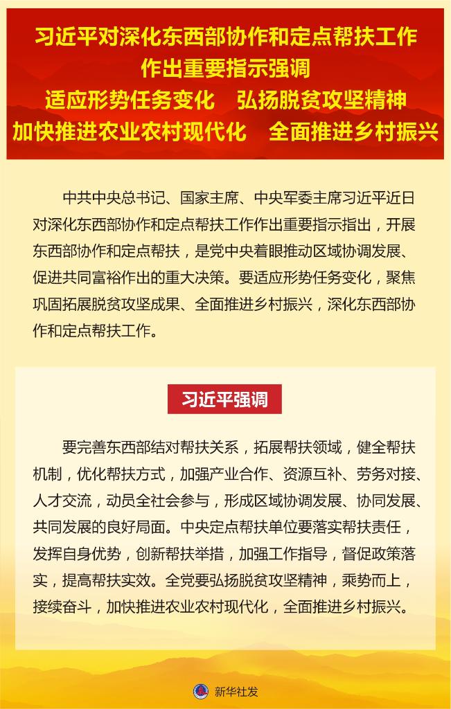 11月9日最新指示下的工作落实策略深度探讨