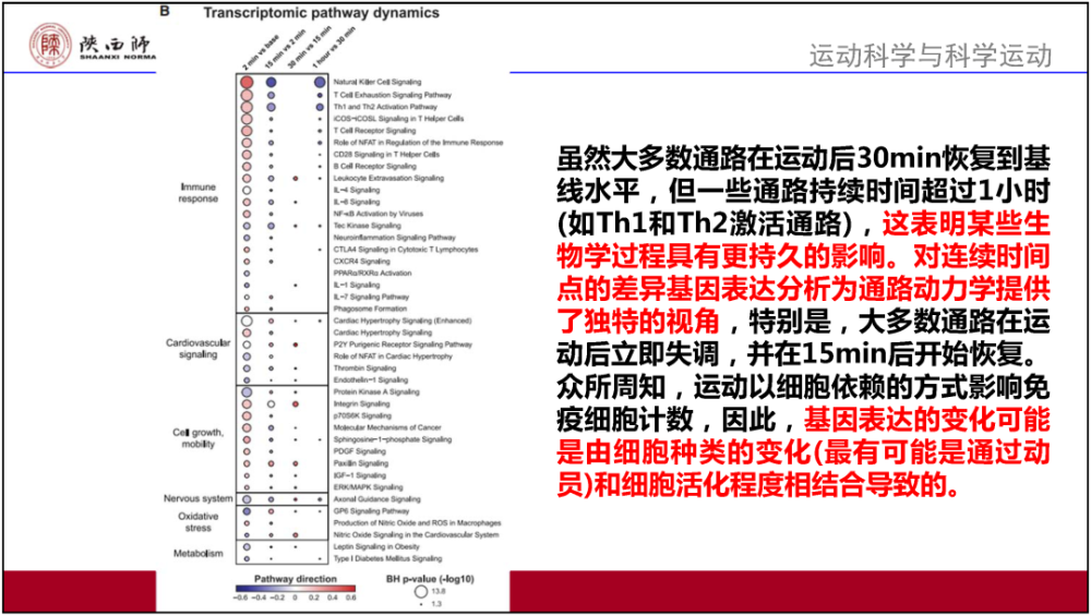 2024澳新全面资料汇编：前沿解读与定义精选_YGZ985.8适中版