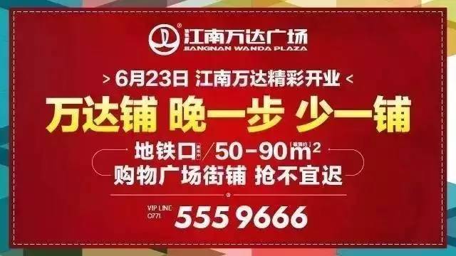 2024年11月10日 第41页