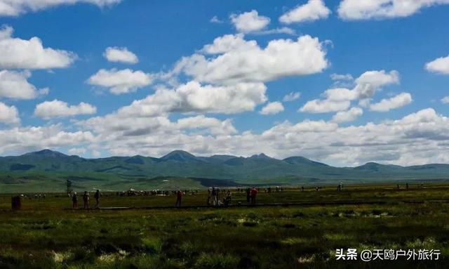 去年罗平通用机场的蓝天之旅，自然美景与心灵的奇妙交汇点