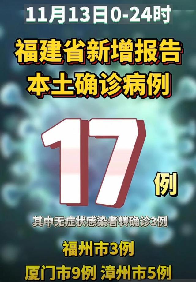 福建十一月十二日的温馨奇遇与纽带，最新日常回顾