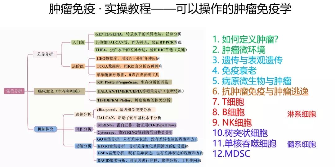 2024年正版资料免费,植物保护_至人CXB724.52