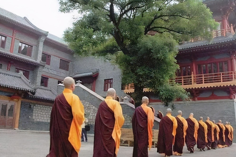 执念师3最新消息揭秘，神秘特色小店探秘之旅