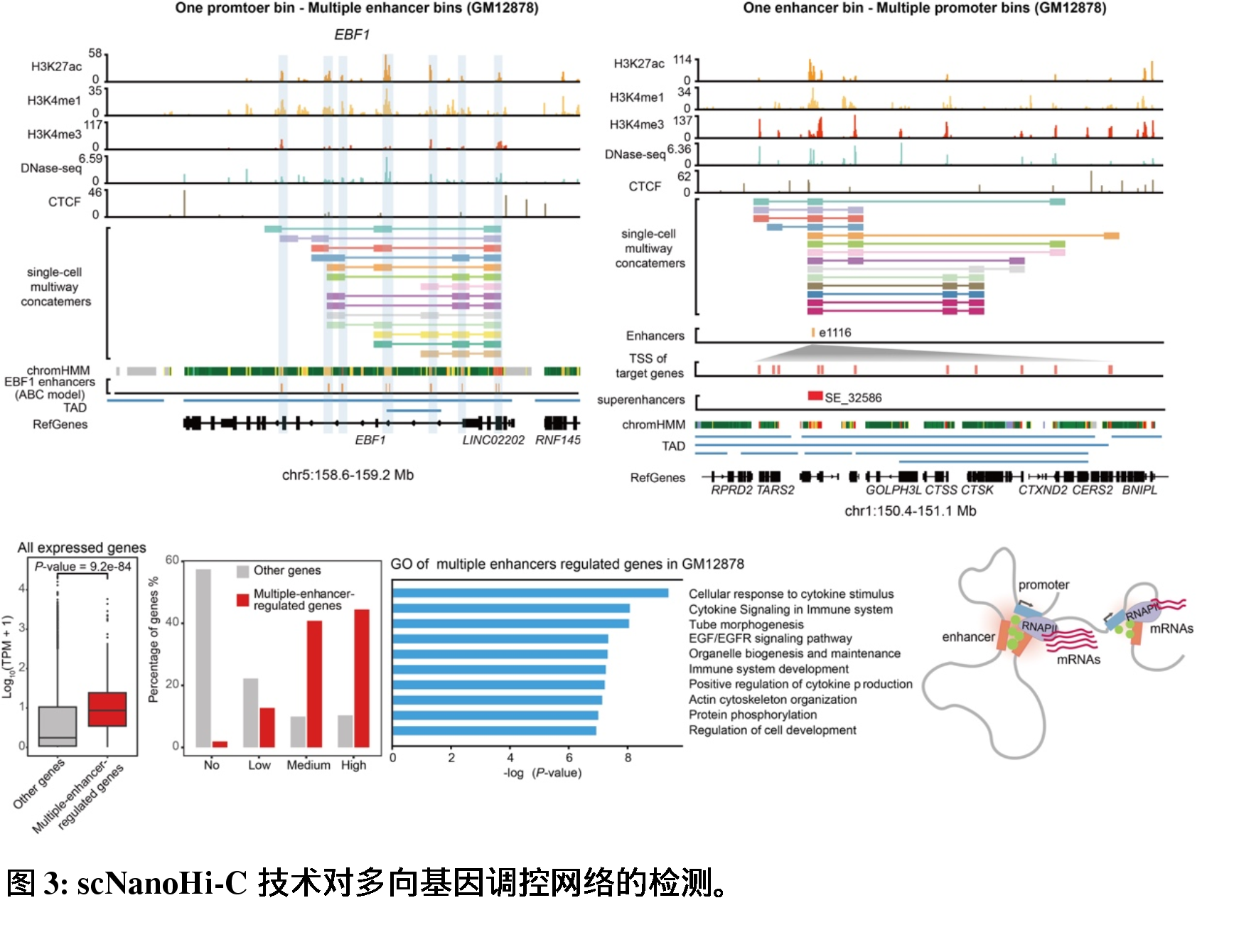 澳门彩资料，YLP62.848时尚版数据驱动设计法