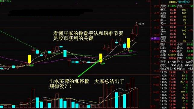 管家婆精准一码一肖预测，智能版高效规划_FQD61.338升级版