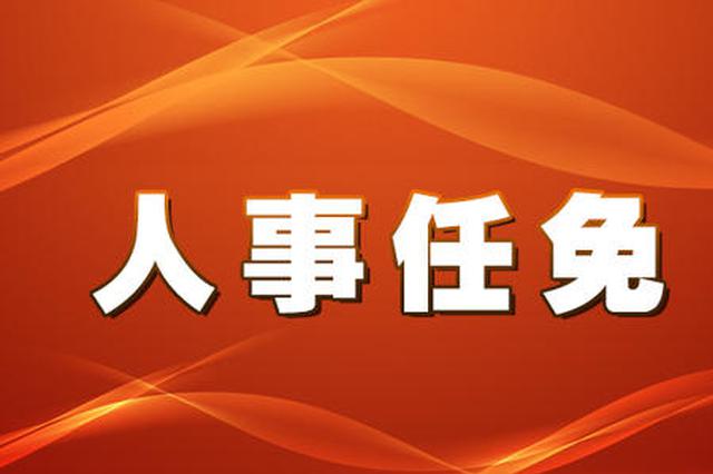 砚山县人事任免新篇章，日常人事之旅揭晓于温馨有趣的日常人事之旅