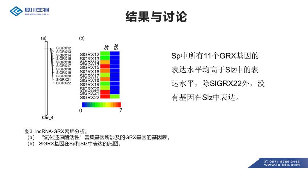 JMT96.818融合版：新澳精准资料策略大全免费分享