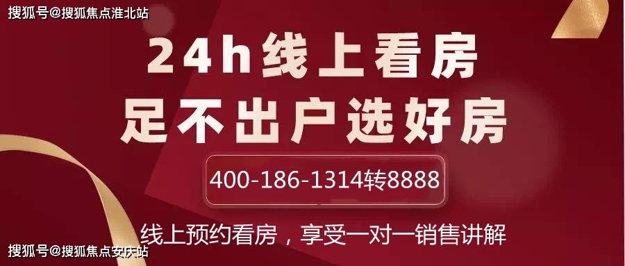 2024官方正版资料免费发布，深度解析UFV96.540商务版实施方案