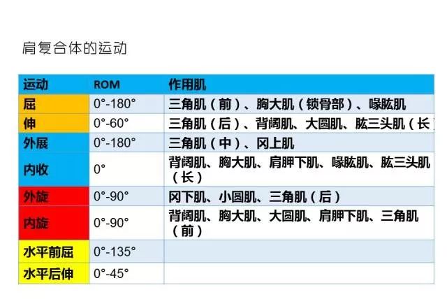 全国联销正版高清图_ISK56.530影像处理全身数据指导枕