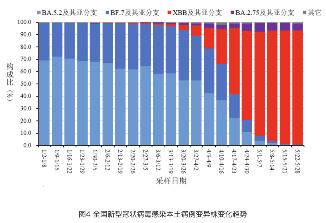 2024新澳数据免费精准051，WYN22.673时尚版分析实操