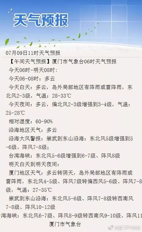 深度解析与案例剖析，11月北方台风最新消息与动态