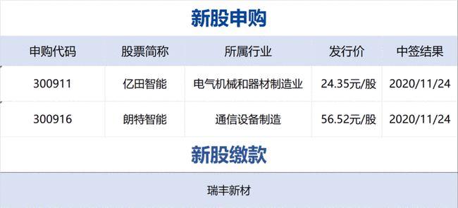 美国历史上11月16日竞选票深度解析与最新进展报告