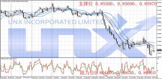 11月16日汇金最新持股查询全攻略与步骤指南