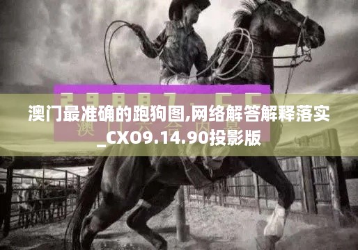 澳门最准确的跑狗图,网络解答解释落实_CXO9.14.90投影版