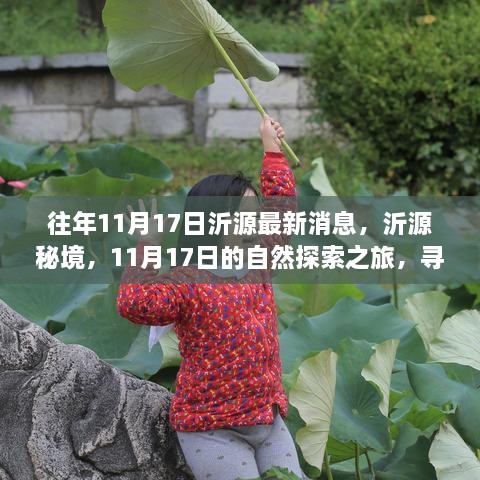 沂源秘境探索，11月17日的自然之旅，探寻桃花源般的心灵之地