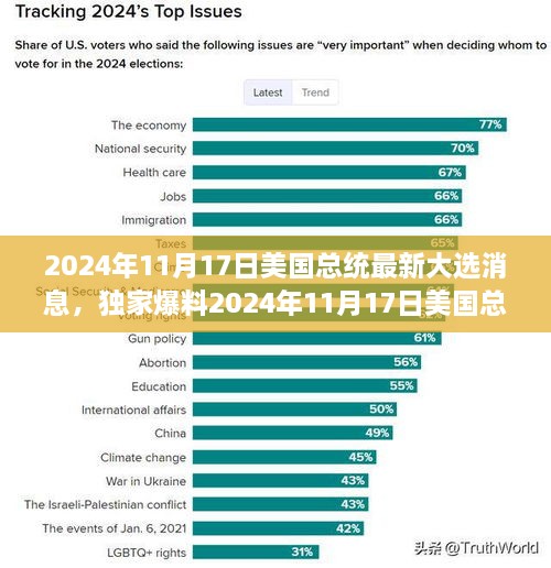 独家爆料，深度解析2024年11月17日美国总统大选最新动态与消息全貌