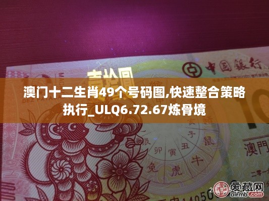 澳门十二生肖49个号码图,快速整合策略执行_ULQ6.72.67炼骨境