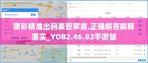 澳彩精准出码表管家婆,正确解答解释落实_YOB2.46.82手游版