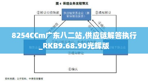 8254CCm广东八二站,供应链解答执行_RKB9.68.90光辉版