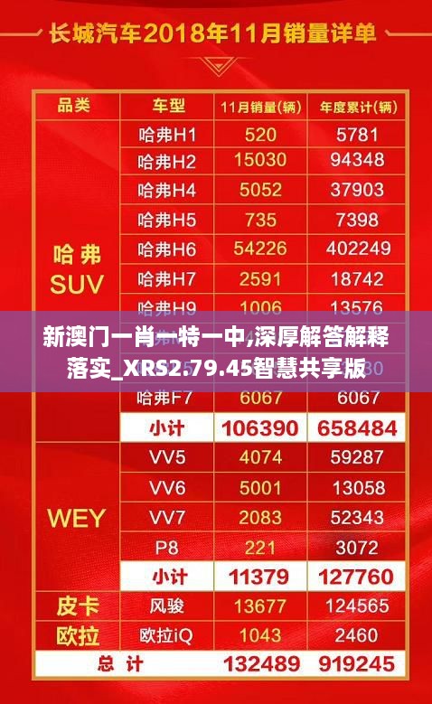 新澳门一肖一特一中,深厚解答解释落实_XRS2.79.45智慧共享版