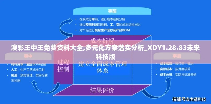 澳彩王中王免费资料大全,多元化方案落实分析_XDY1.28.83未来科技版