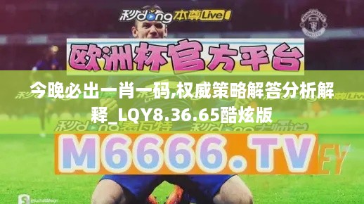 今晚必出一肖一码,权威策略解答分析解释_LQY8.36.65酷炫版