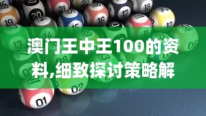 澳门王中王100的资料,细致探讨策略解答解释_DVQ7.70.72模块版