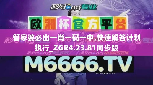 2024年11月17日 第47页