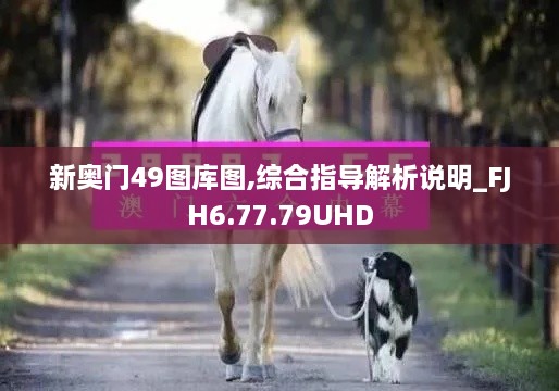 新奥门49图库图,综合指导解析说明_FJH6.77.79UHD