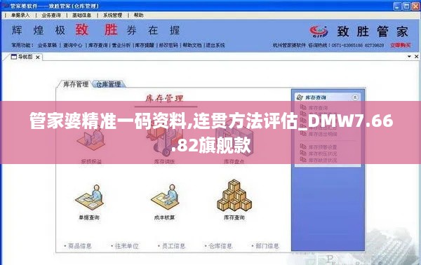 管家婆精准一码资料,连贯方法评估_DMW7.66.82旗舰款