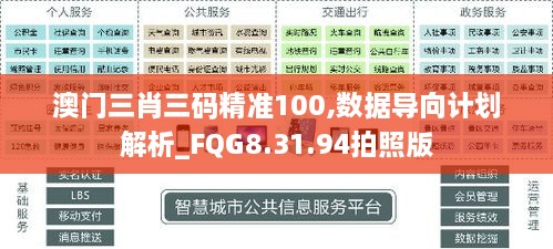 澳门三肖三码精准100,数据导向计划解析_FQG8.31.94拍照版