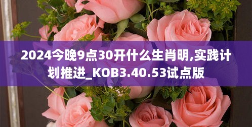 2024今晚9点30开什么生肖明,实践计划推进_KOB3.40.53试点版