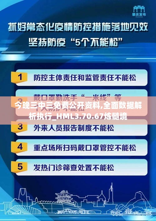 今晚三中三免费公开资料,全面数据解析执行_HML3.70.67炼髓境